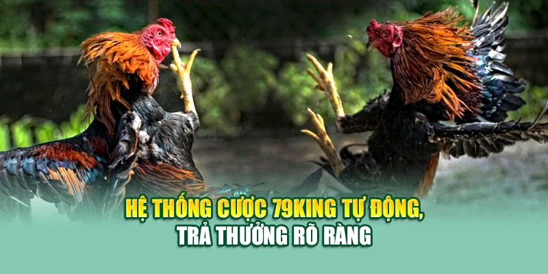 Hệ thống cược 79King tự động, trả thưởng rõ ràng