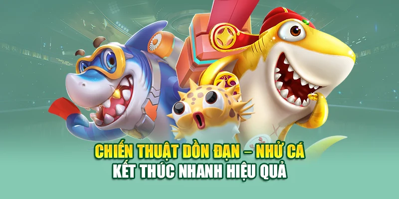 Chiến thuật dồn đạn – nhử cá – kết thúc nhanh hiệu quả